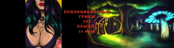 эйфоретик Ладушкин