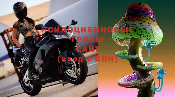 apvp Кукмор