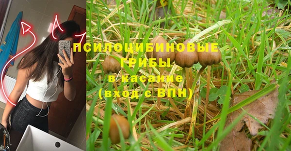 синтетический гашиш Кулебаки